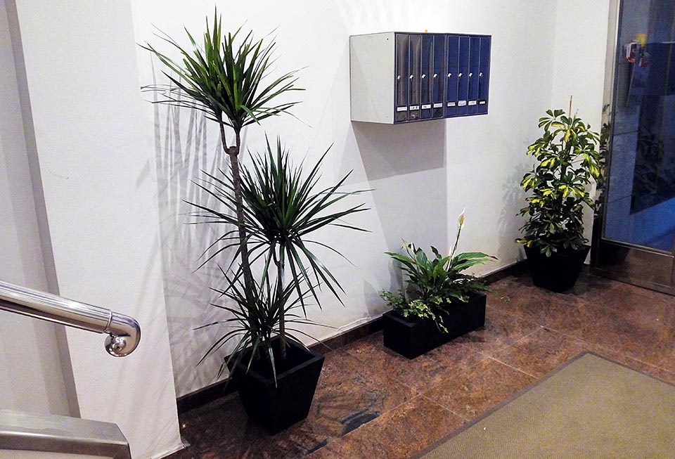 foto servicios comunidades